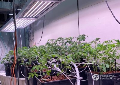 Presleys produce grow lights gallery a mission in the madness indoor lights 1