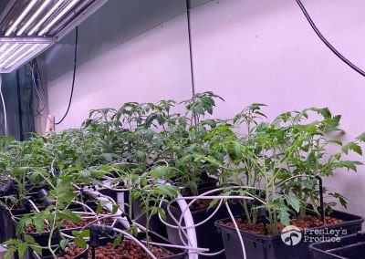 Presleys produce grow room gallery a mission in the madness indoor garden