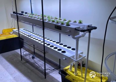 Presleys produce grow room gallery a mission in the madness indoor plants