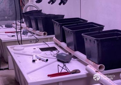 Presleys produce grow room gallery a mission in the madness plants almost done