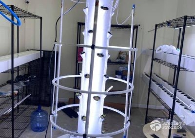 Presleys produce grow room gallery a mission in the madness plants garden tower 4