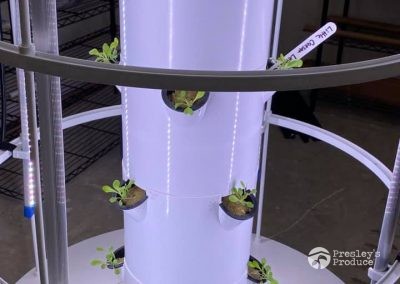 Presleys produce grow room gallery a mission in the madness plants garden tower 7