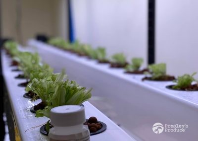 Presleys produce grow room gallery a mission in the madness plants indoor