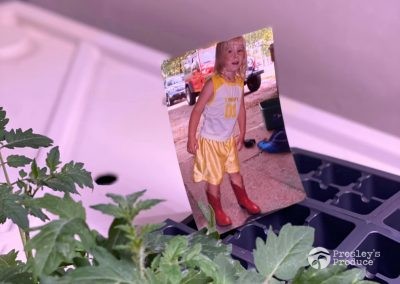 Presleys produce grow room gallery a mission in the madness plants indoor 5