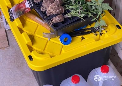 Presleys produce grow room gallery a mission in the madness plants tomato