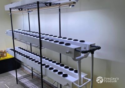 Presleys produce grow room gallery a mission in the madness ready plants