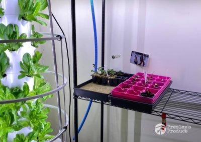 Presleys produce grow room gallery a mission in the madness tower garden