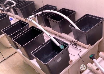 Presleys produce grow room gallery a mission in the madnessplants indoor watering