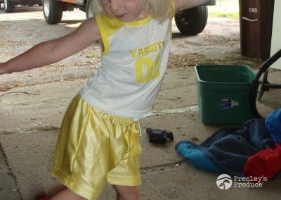 Presleys produce mission gallery a mission in the madness indoor lights full of life