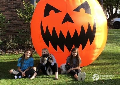 Presleys produce mission gallery a mission in the madness indoor lights sisters