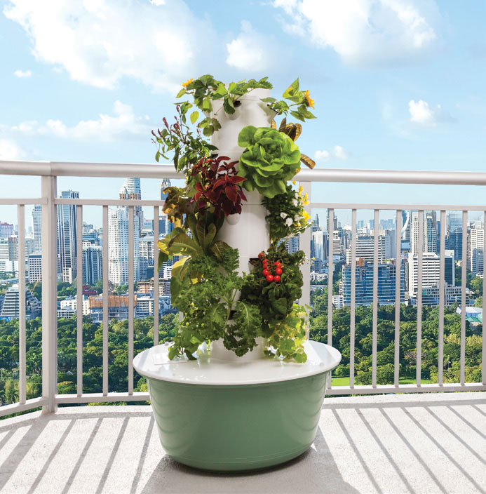 Presleys-produce-health-and-wellness-a-mission-in-the-madness-tower-garden-growing-system