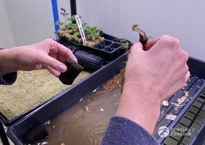 Presleys-produce-mission-gallery-a-mission-in-the-madness-indoor-IMG_1753