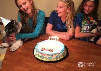 Presleys-produce-mission-gallery-a-mission-in-the-madness-indoor-IMG_1822