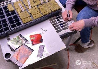 Presleys-produce-mission-gallery-a-mission-in-the-madness-indoor-IMG_2204