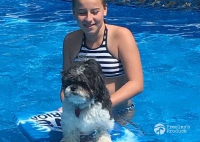 Presleys-produce-mission-gallery-a-mission-in-the-madness-indoor-IMG_2483