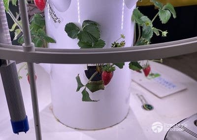 Presleys-produce-mission-gallery-a-mission-in-the-madness-indoor-IMG_3049