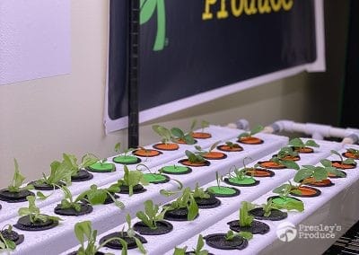 Presleys-produce-mission-gallery-a-mission-in-the-madness-indoor-IMG_3064