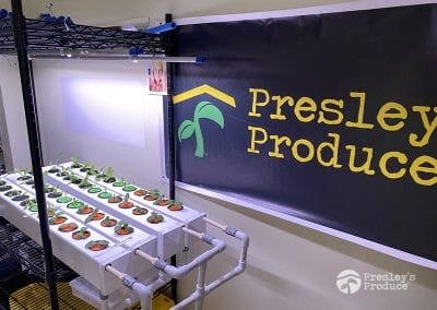 Presleys-produce-mission-gallery-a-mission-in-the-madness-indoor-IMG_3068