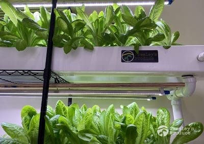 Presleys-produce-mission-gallery-a-mission-in-the-madness-indoor-IMG_3077