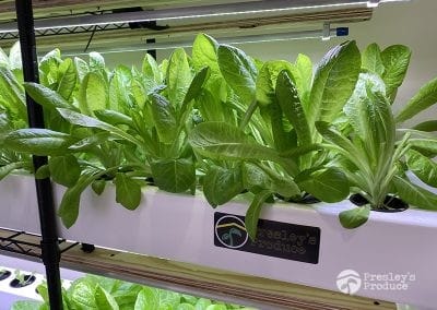 Presleys-produce-mission-gallery-a-mission-in-the-madness-indoor-IMG_3079