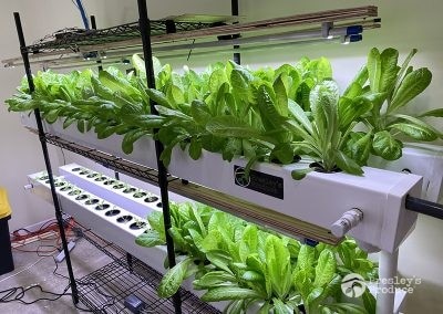 Presleys-produce-mission-gallery-a-mission-in-the-madness-indoor-IMG_3080