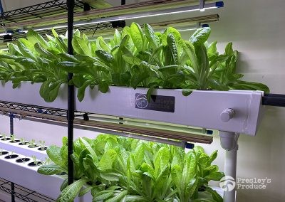 Presleys-produce-mission-gallery-a-mission-in-the-madness-indoor-IMG_3083