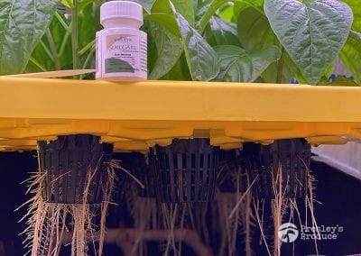 Presleys-produce-mission-gallery-a-mission-in-the-madness-indoor-IMG_3333