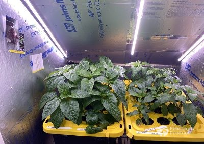 Presleys-produce-mission-gallery-a-mission-in-the-madness-indoor-IMG_3421