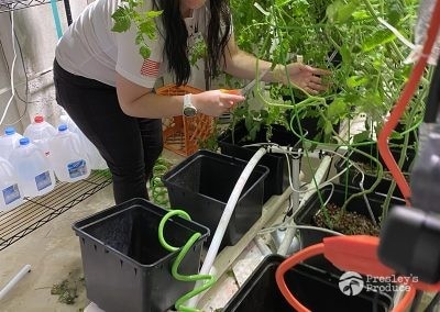 Presleys-produce-mission-gallery-a-mission-in-the-madness-indoor-IMG_3557