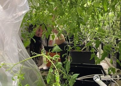 Presleys-produce-mission-gallery-a-mission-in-the-madness-indoor-IMG_3575