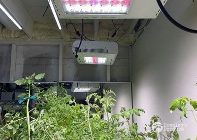 Presleys-produce-mission-gallery-a-mission-in-the-madness-indoor-IMG_3638