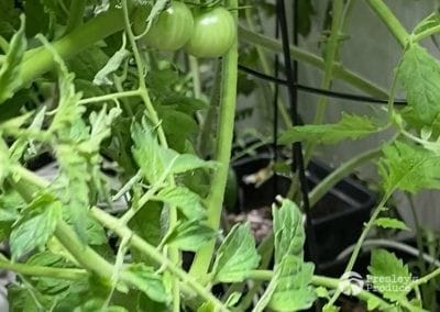 Presleys-produce-mission-gallery-a-mission-in-the-madness-indoor-IMG_3640