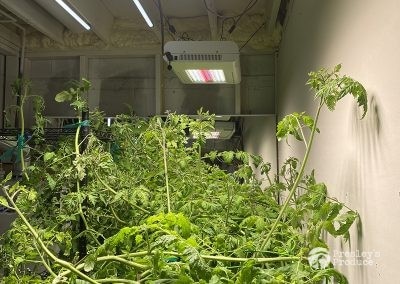 Presleys-produce-mission-gallery-a-mission-in-the-madness-indoor-IMG_3646