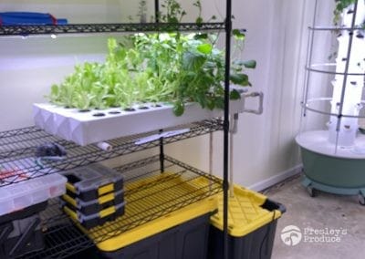 Presleys-produce-mission-gallery-a-mission-in-the-madness-indoor-IMG_3726